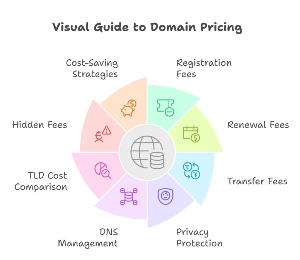 Infographic Design for Domain Pricing Insights